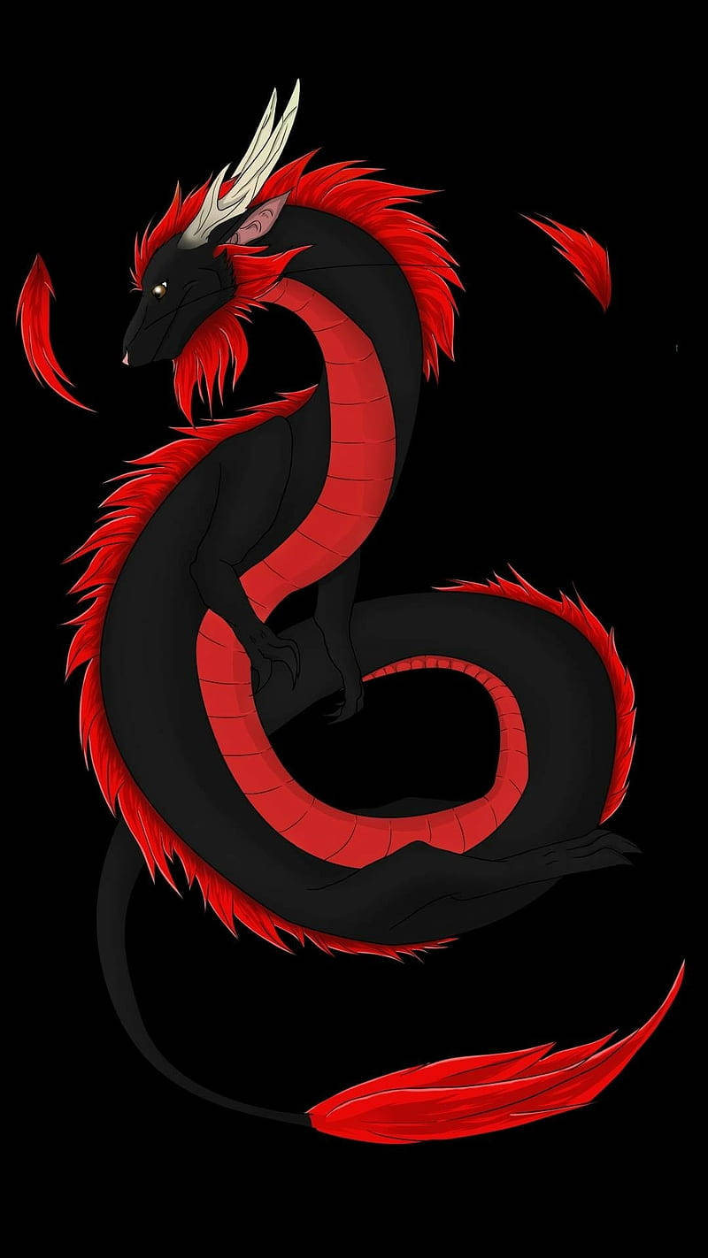 Fantasy Black Red Dragon Background