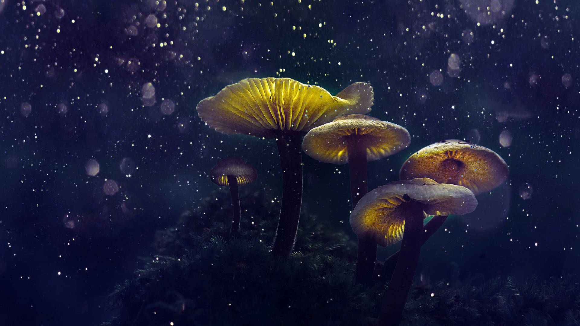 Fantasy Mushroom Aesthetic Background