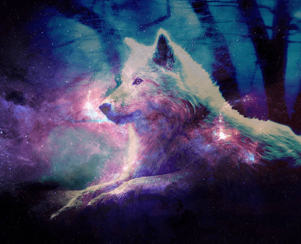Fantasy Night Cute Wolf Background