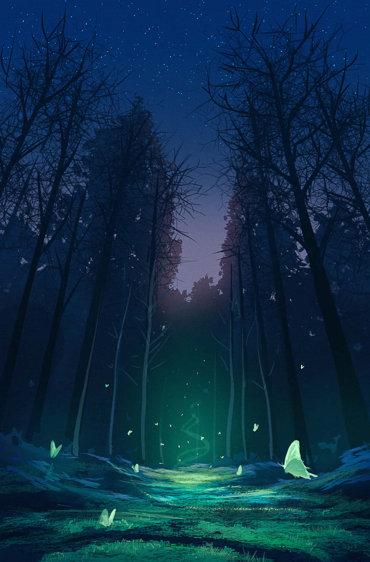 Fantasy Phone Forest Luminous Background