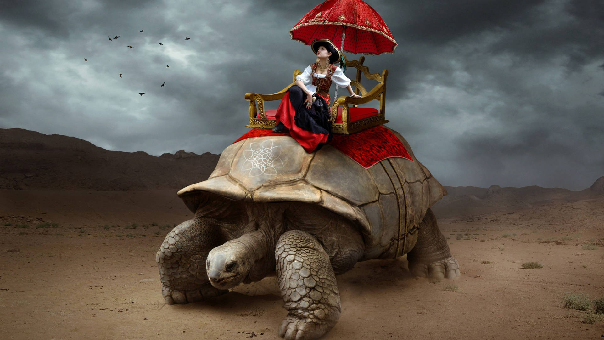 Fantasy Woman On Top Of A Tortoise Background