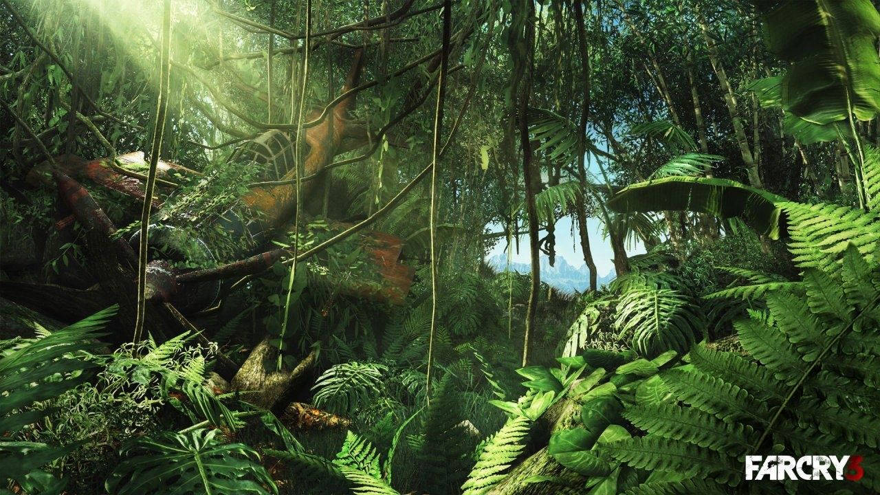 Far Cry 3 Game Jungle Background