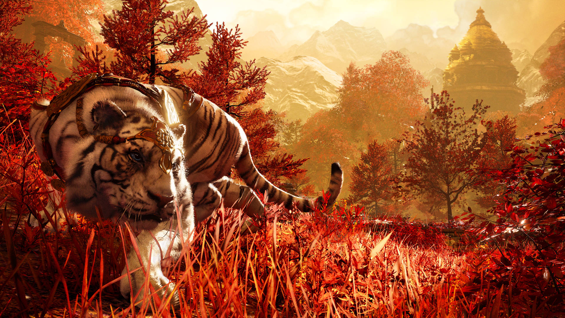 Far Cry 4 Hunting Tiger Background