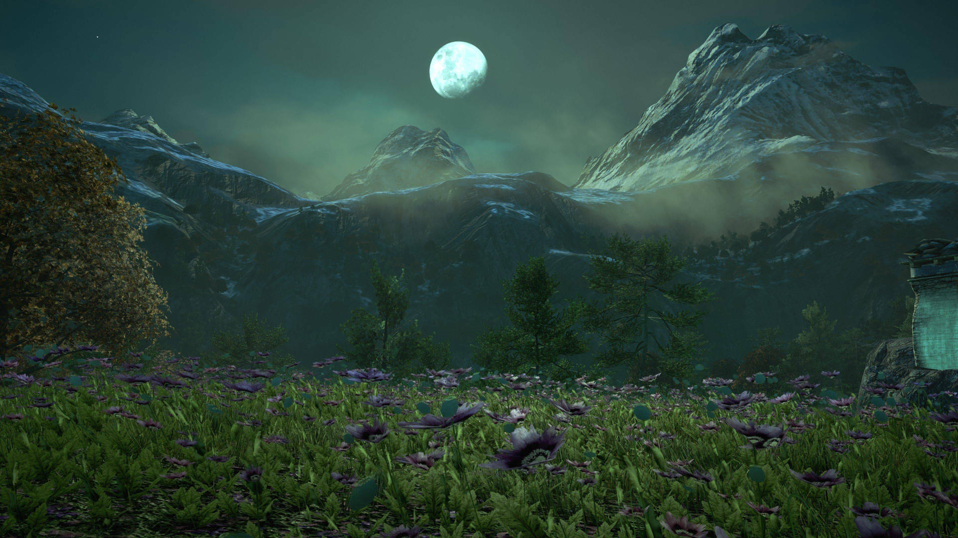 Far Cry 4 Moon Field Background