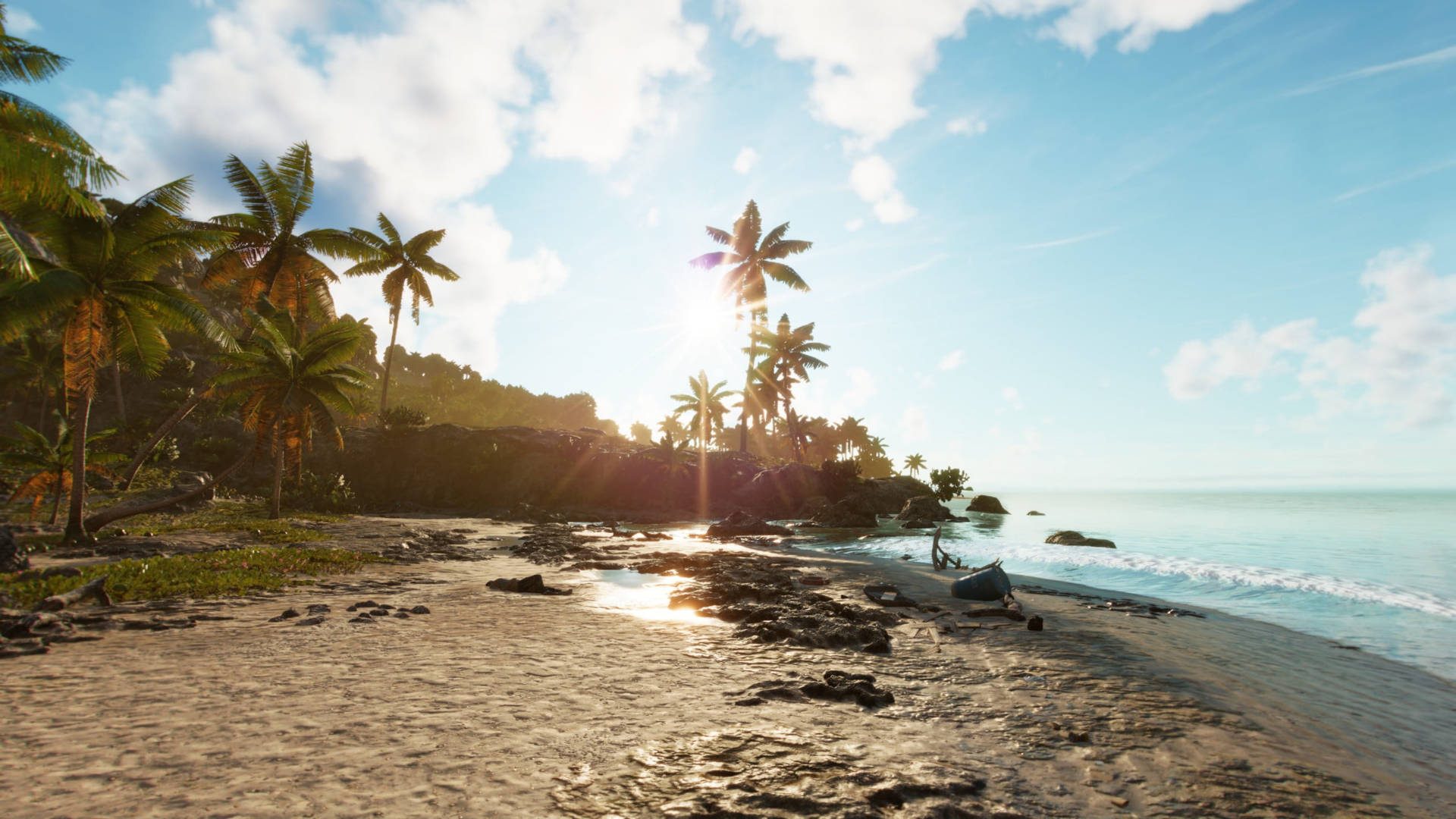 Far Cry 6 Sand Beach Background