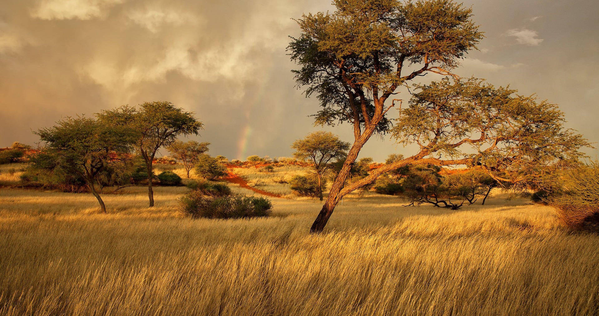 Faraway Rainbow In Africa 4k Background