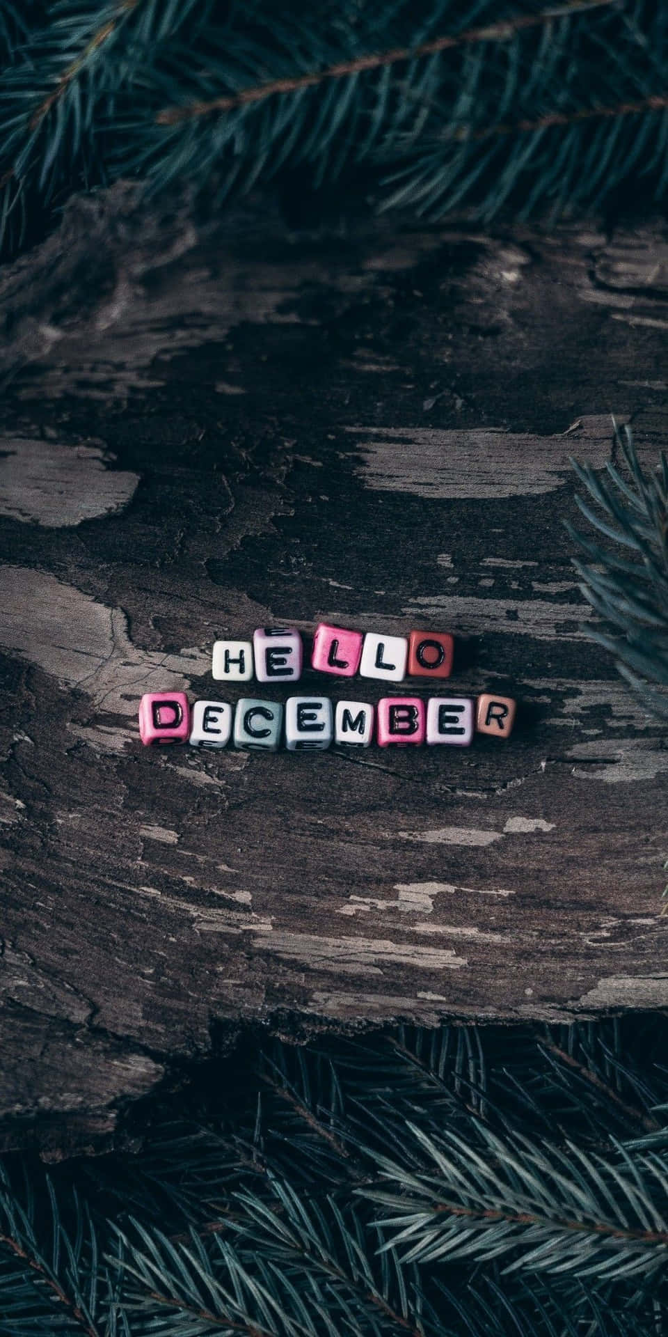 Farewell November, Welcome December! Background
