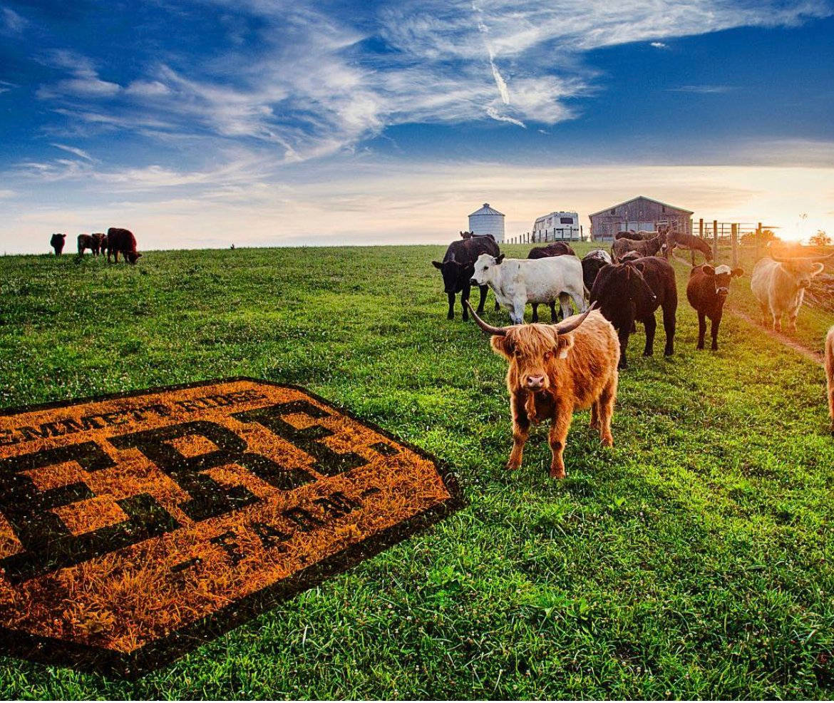 Farm Animals In Emmet Ridge Farm Background