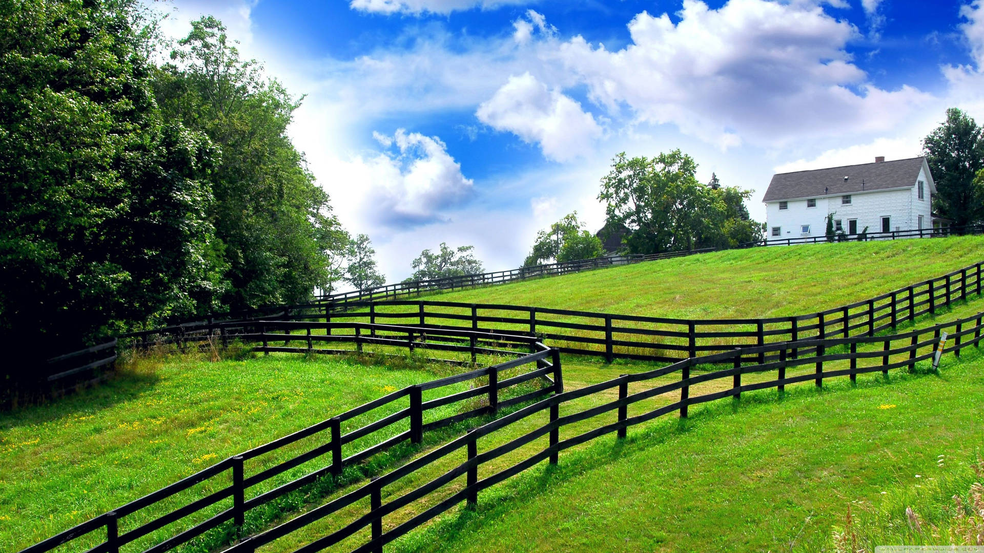 Farm Desktop Greenery Background