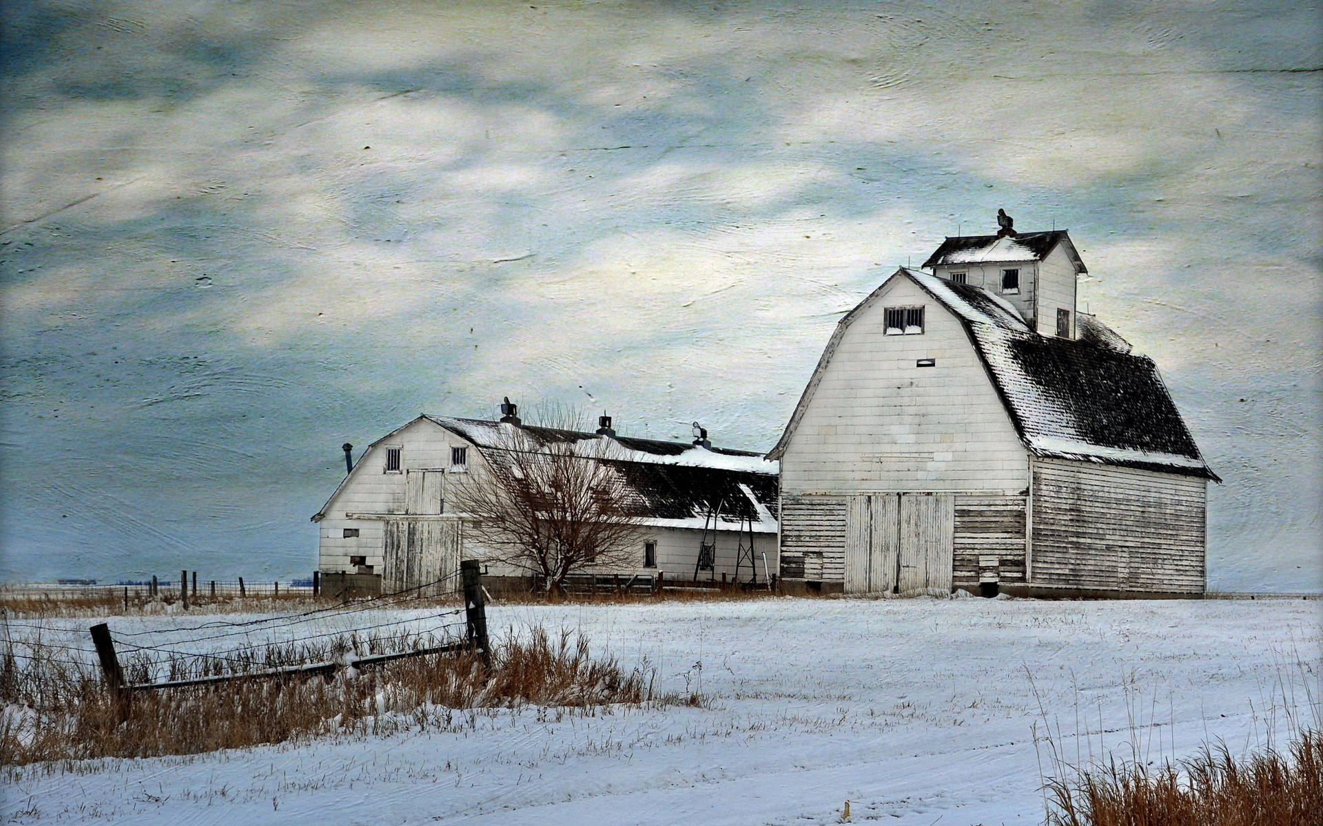 Farm Desktop White Background