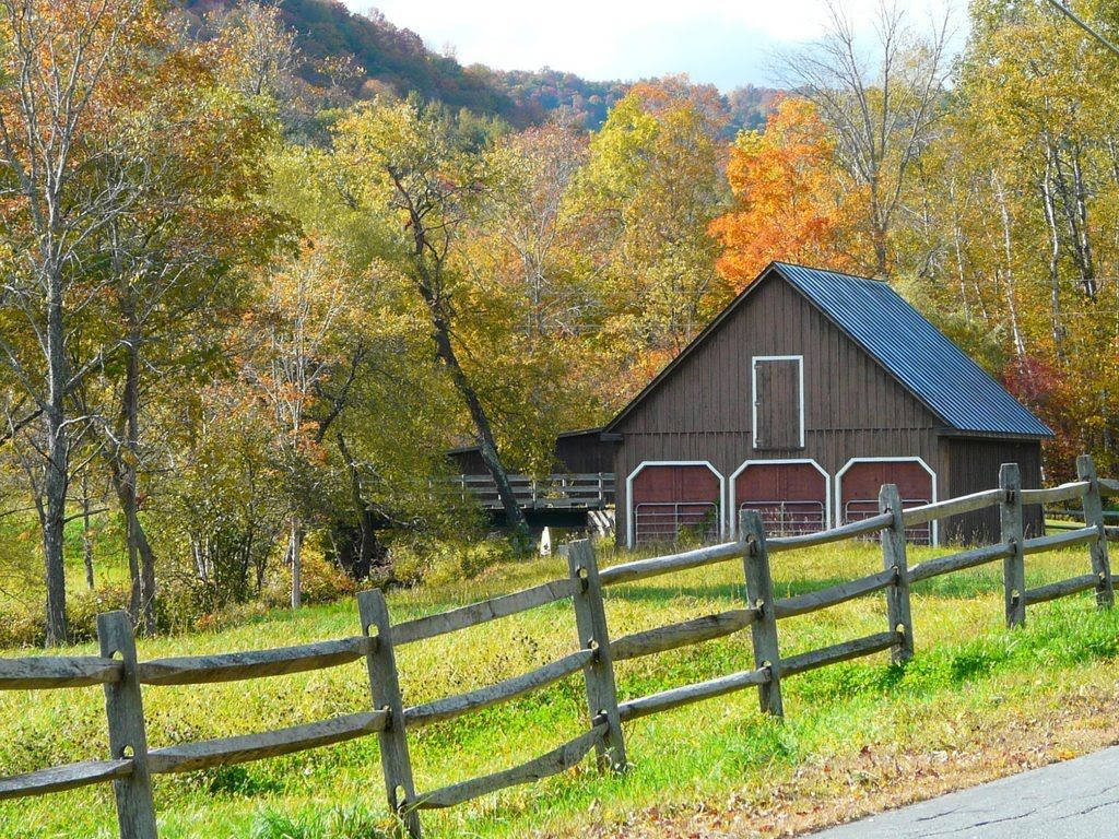 Farmhouse Beside A Country Road Background