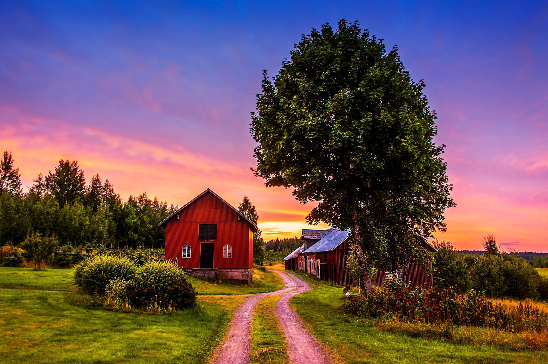 Farmhouse Beside A Tall Tree Background