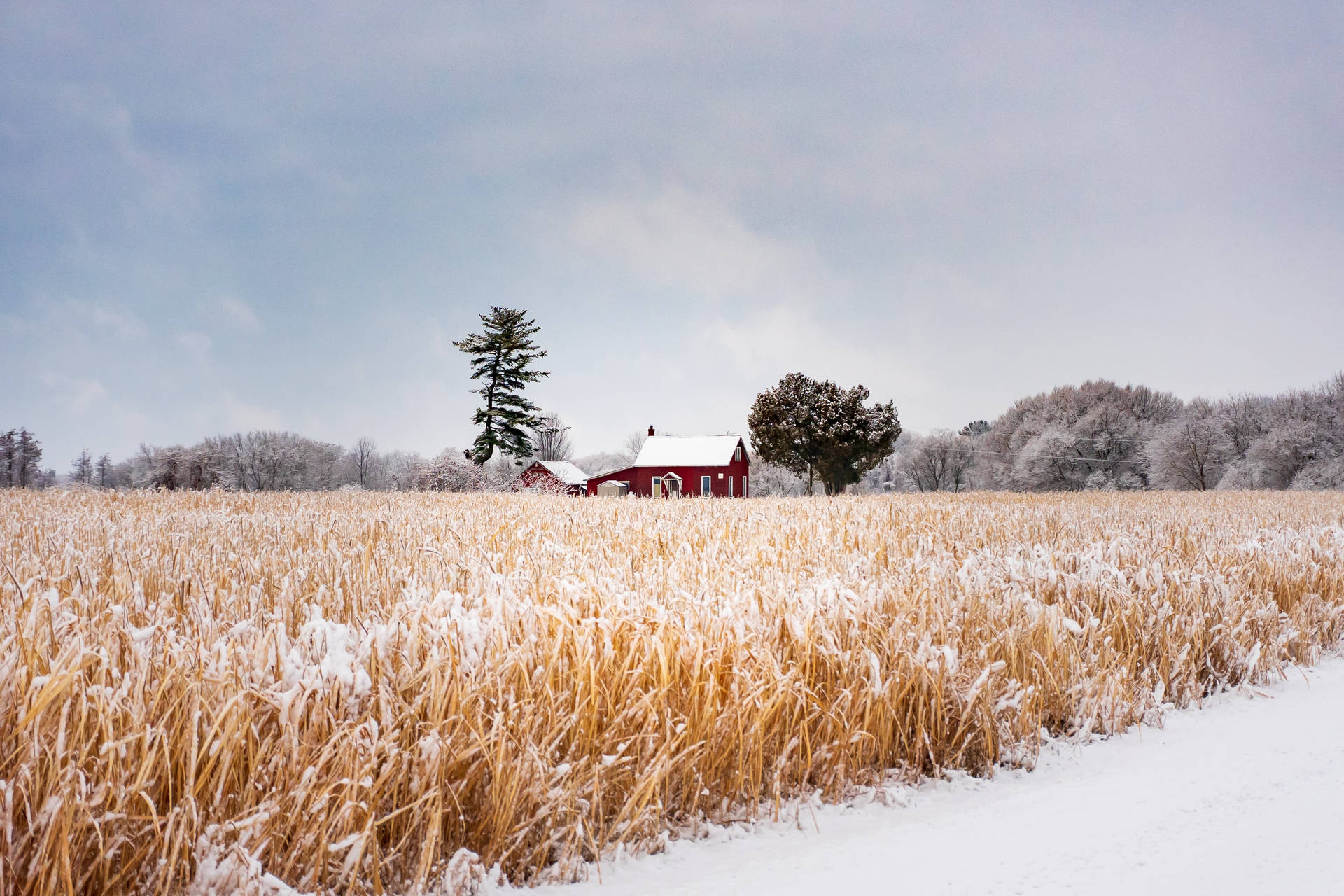 Farmhouse In Winter Background