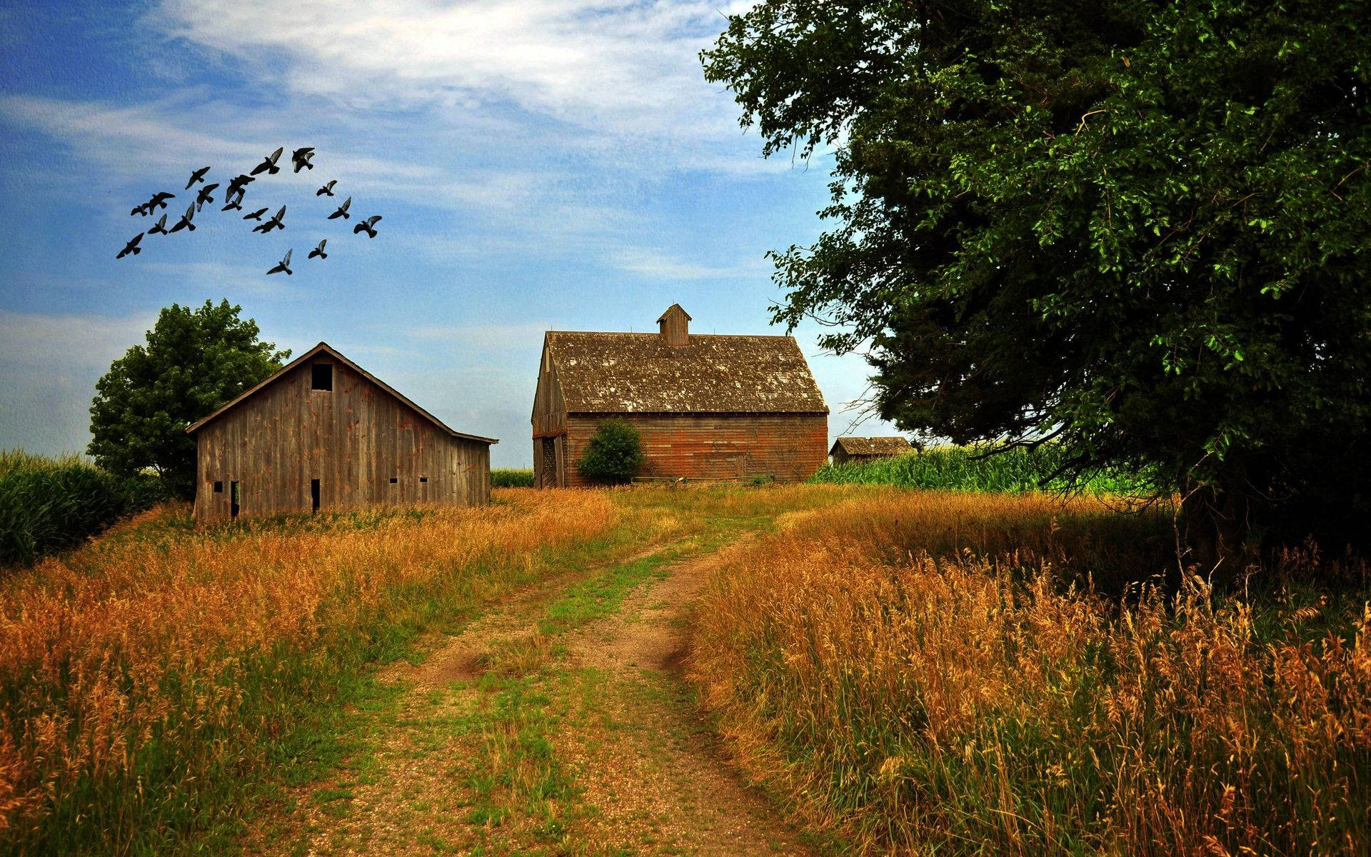 Farmhouse With A Small Barn Background