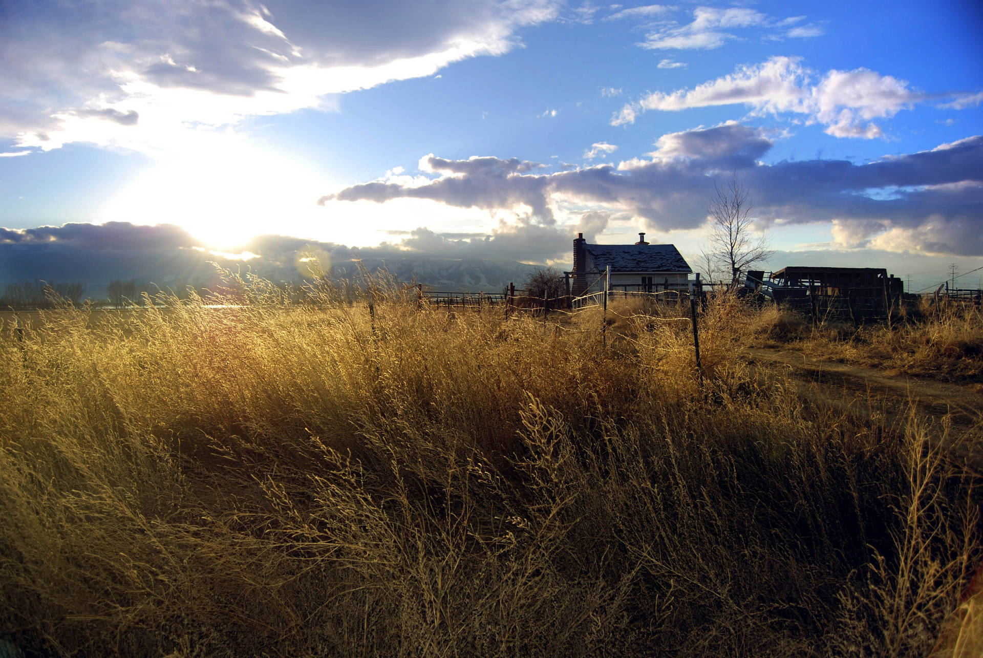 Farmhouse With Dried Golden Grass Background