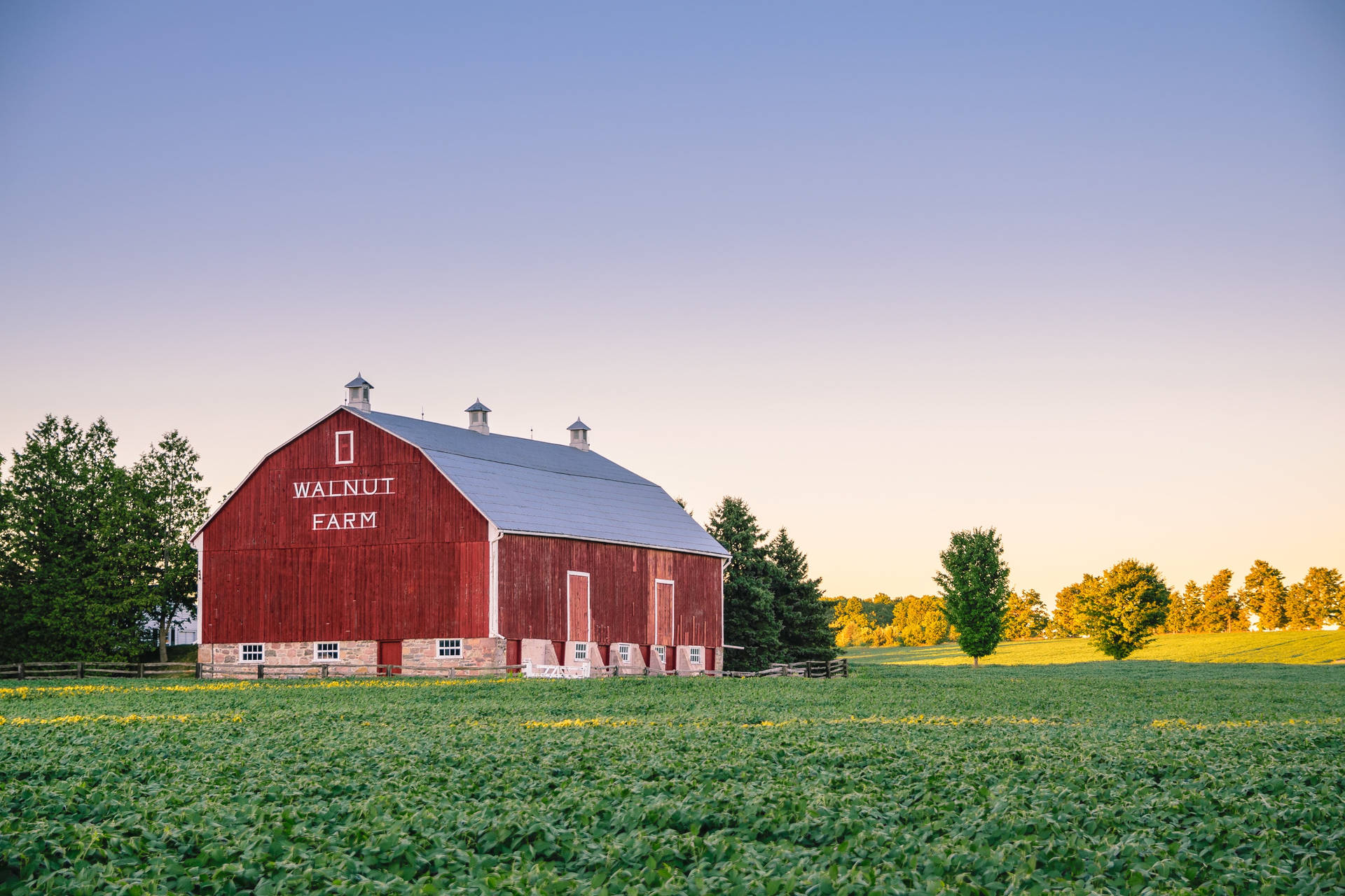 Farmhouse With Walnut Crops Background