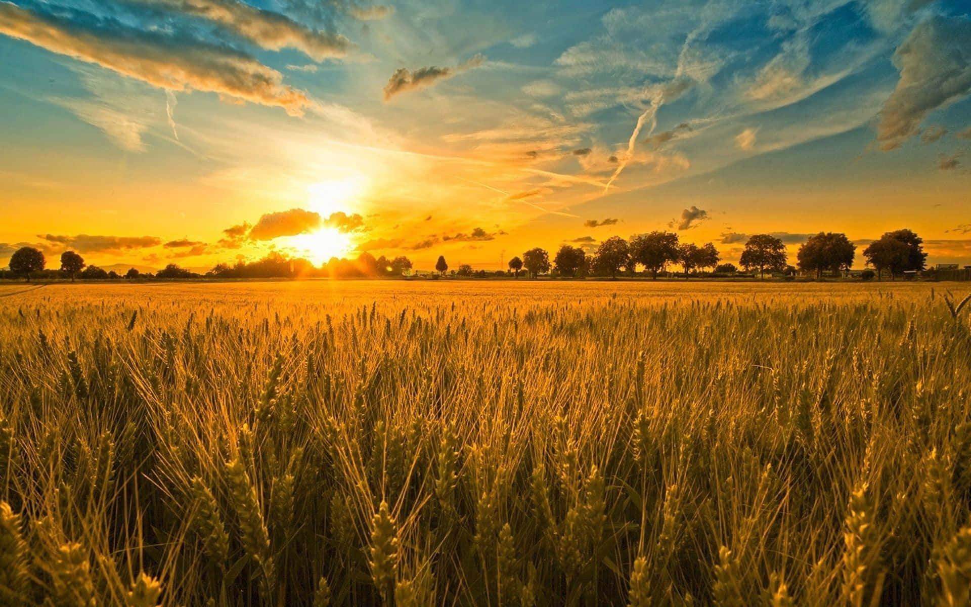 Farming In The Countryside Background