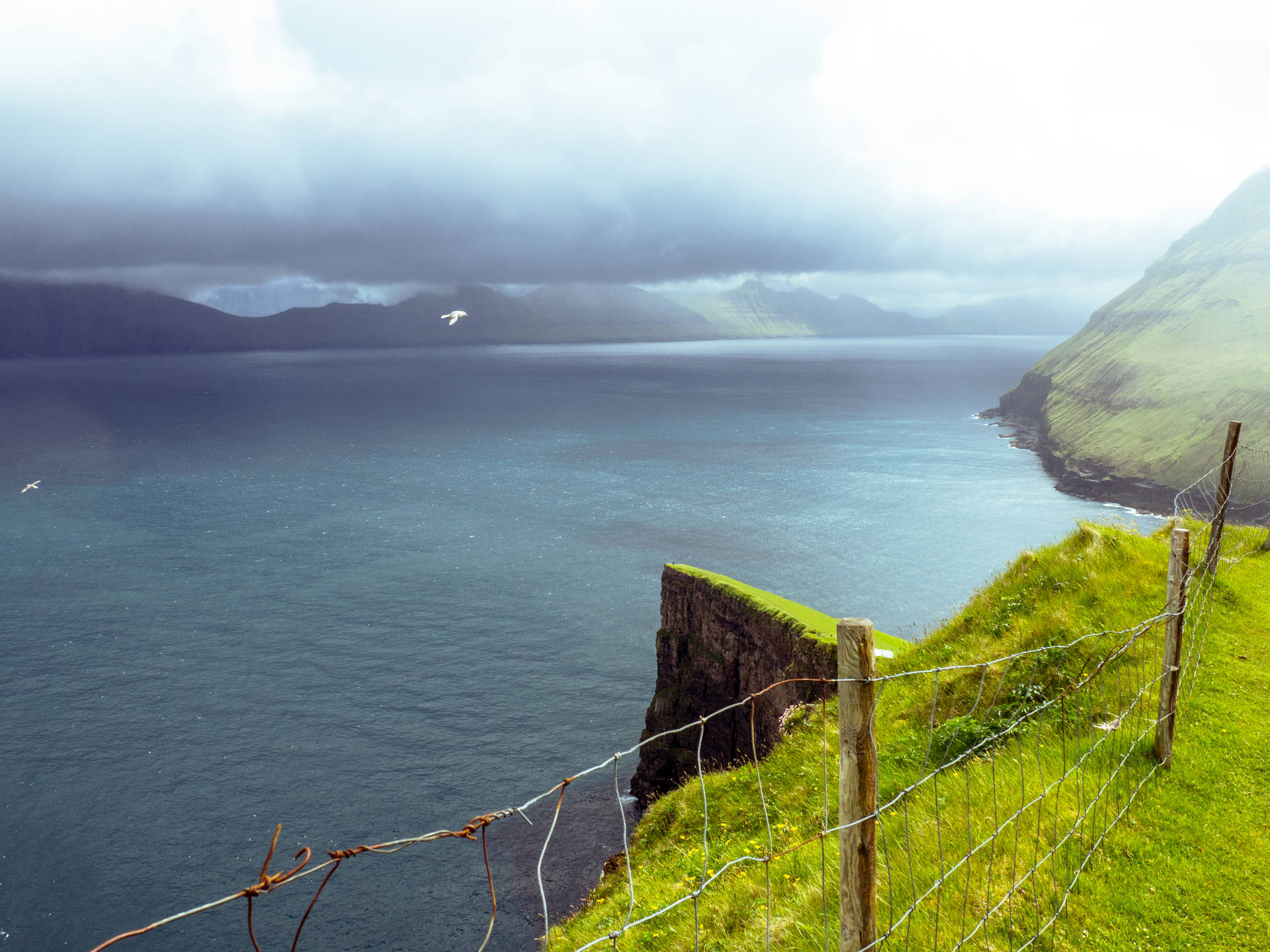 Faroe Islands Coastal View Background