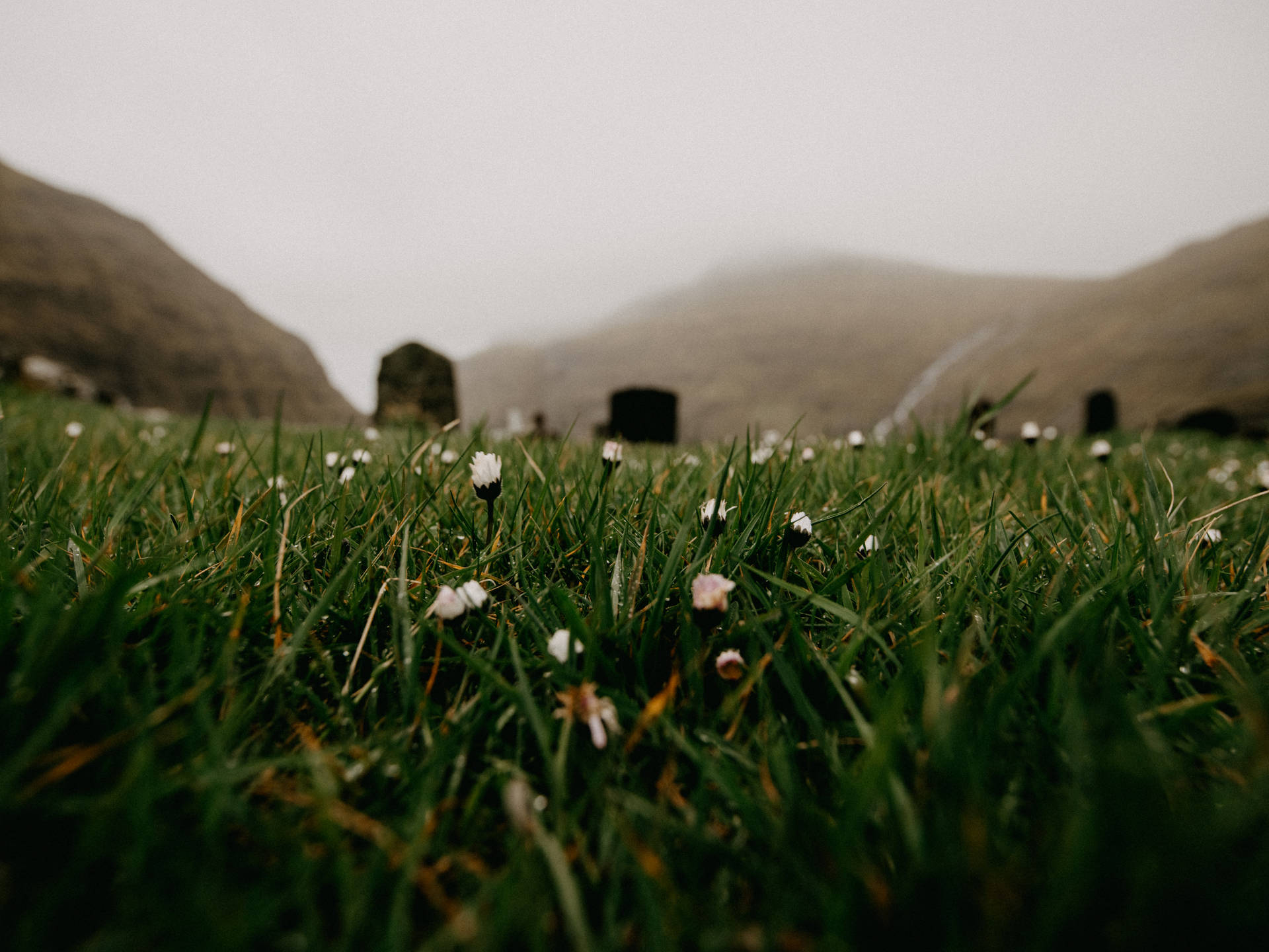 Faroe Islands Green Meadows Background