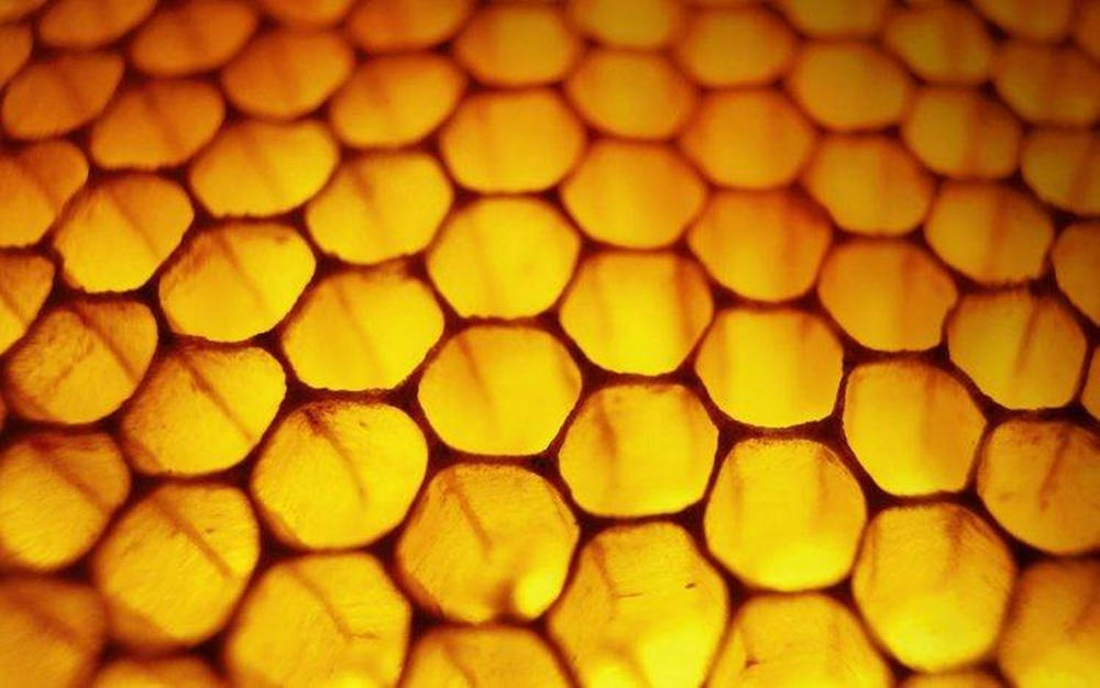 Fascinating Honey Macro Photography