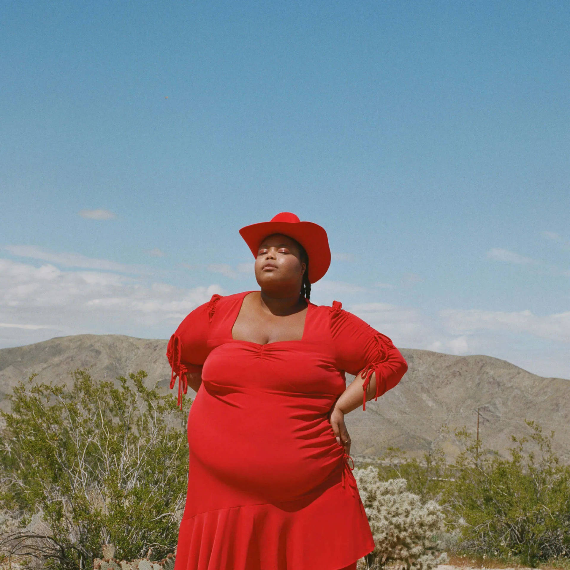 Fat Woman In Red Dress Background