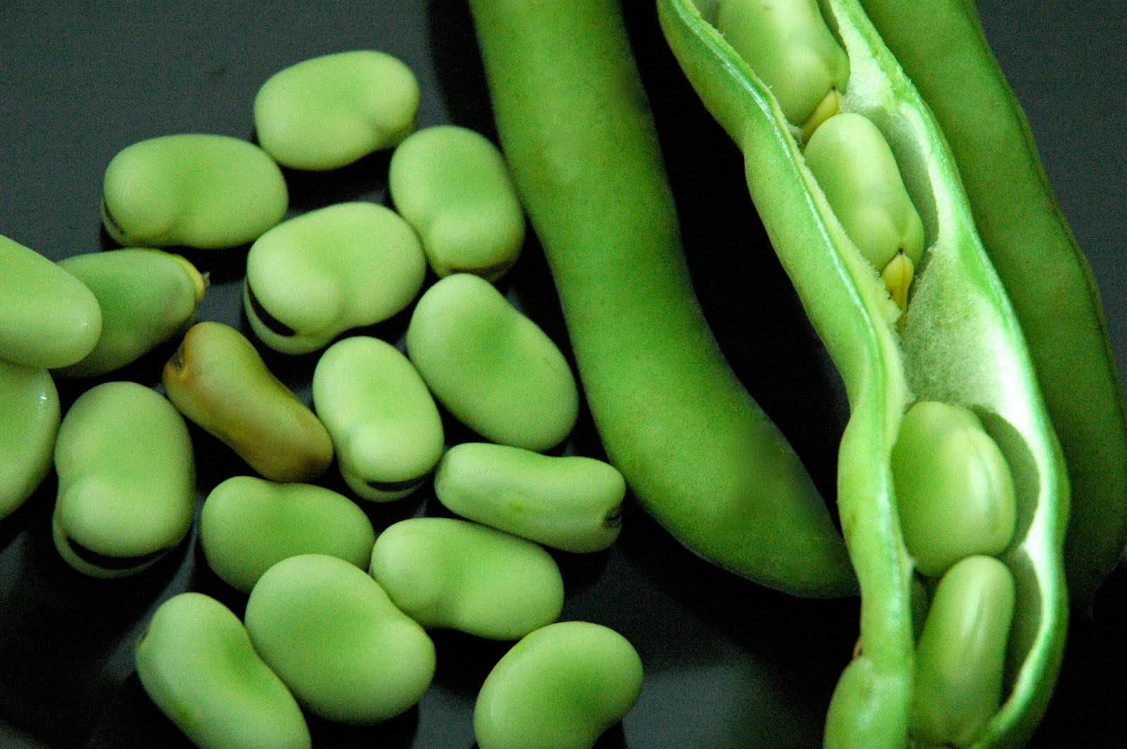 Fava Beans Sliced