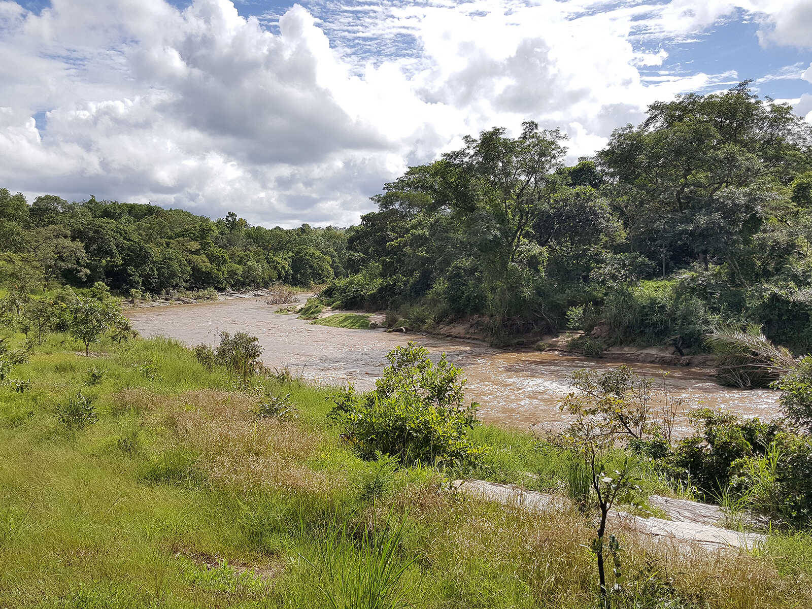 Fazao- Malfakassa National Park Togo