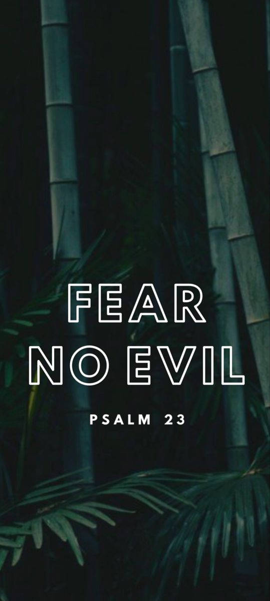 Fear No Evil Psalm23 Bamboo Background