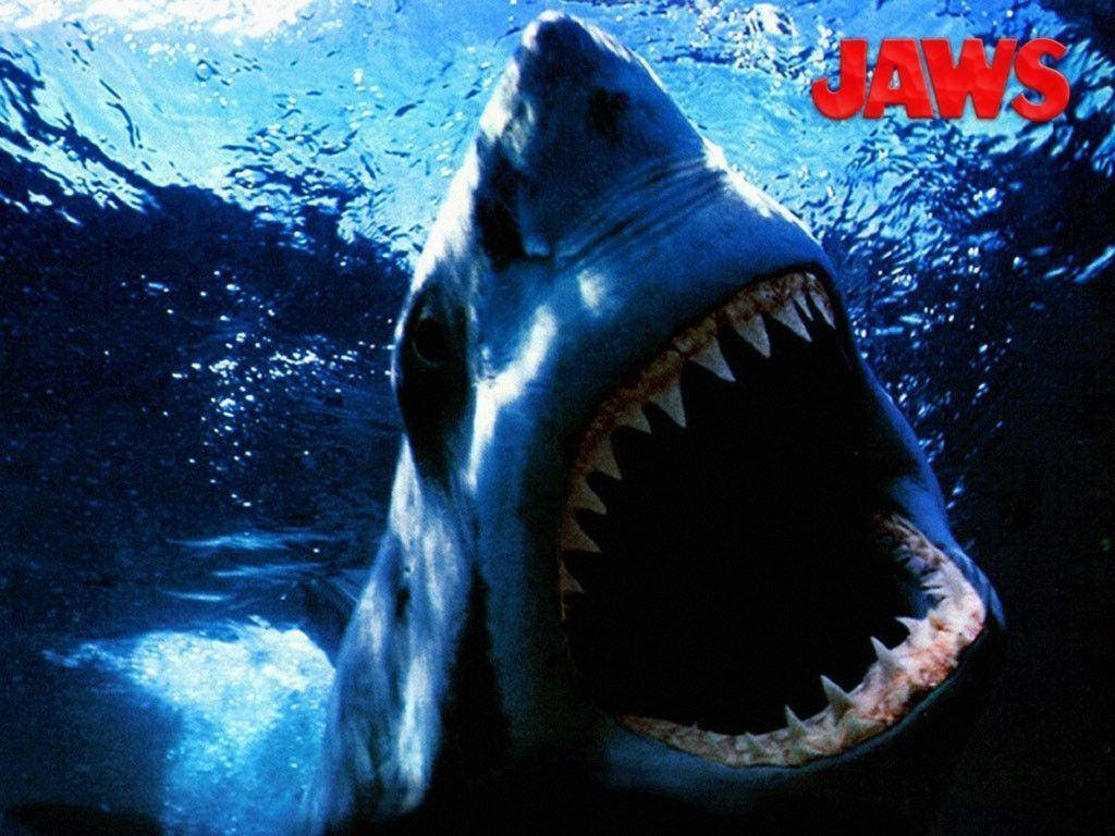Fear The Deep - Jaws Background