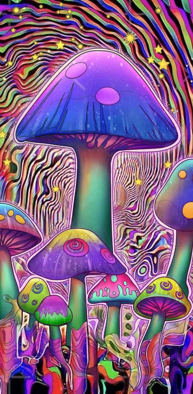 Feast Your Eyes On This Colorful And Captivating Trippy Mushroom.