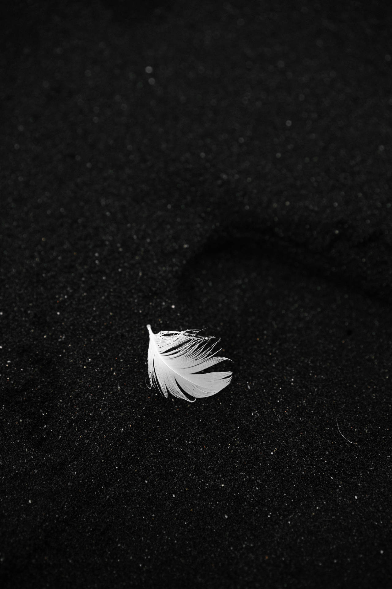Feather Black Phone Background