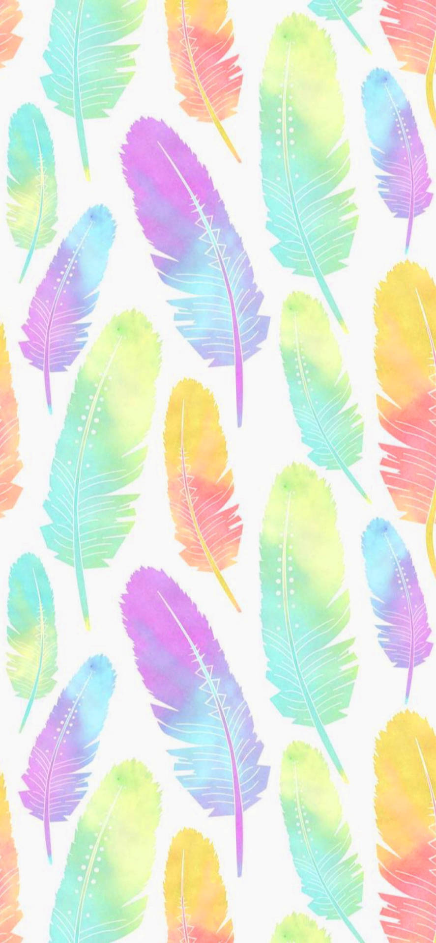 Feathers Cute Pastel Colors Background