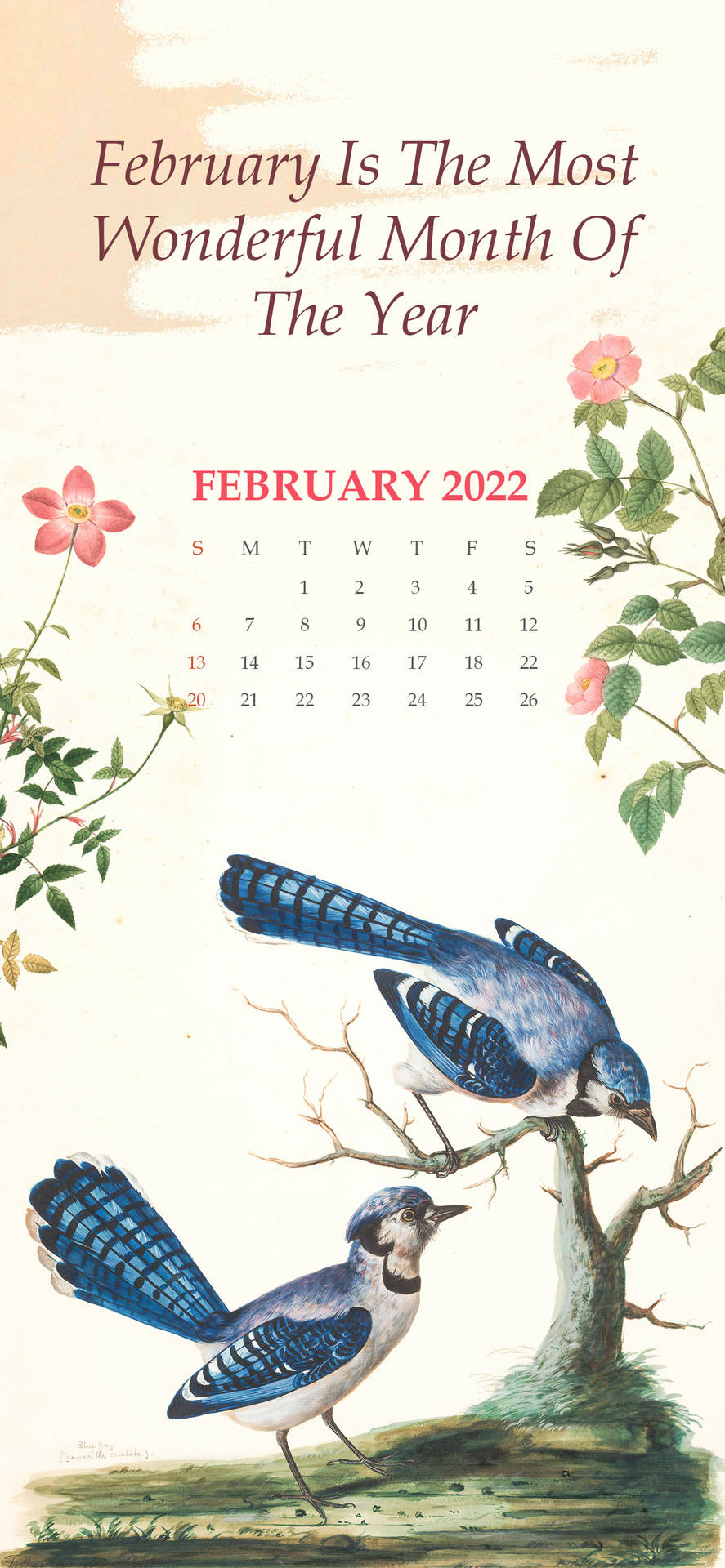 February 2022 Calendar With Blue Birds