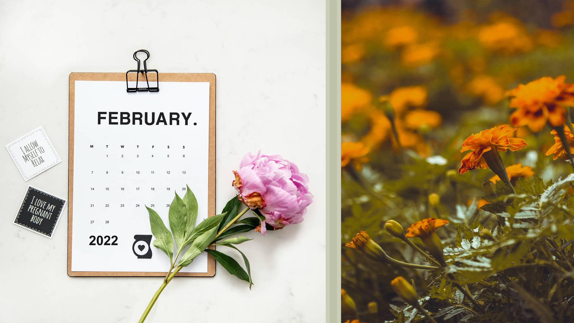 February 2022 Marigold Flower Calendar Background