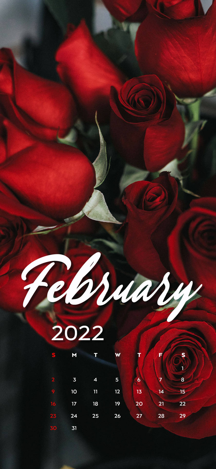 February 2022 Red Roses Calendar Background