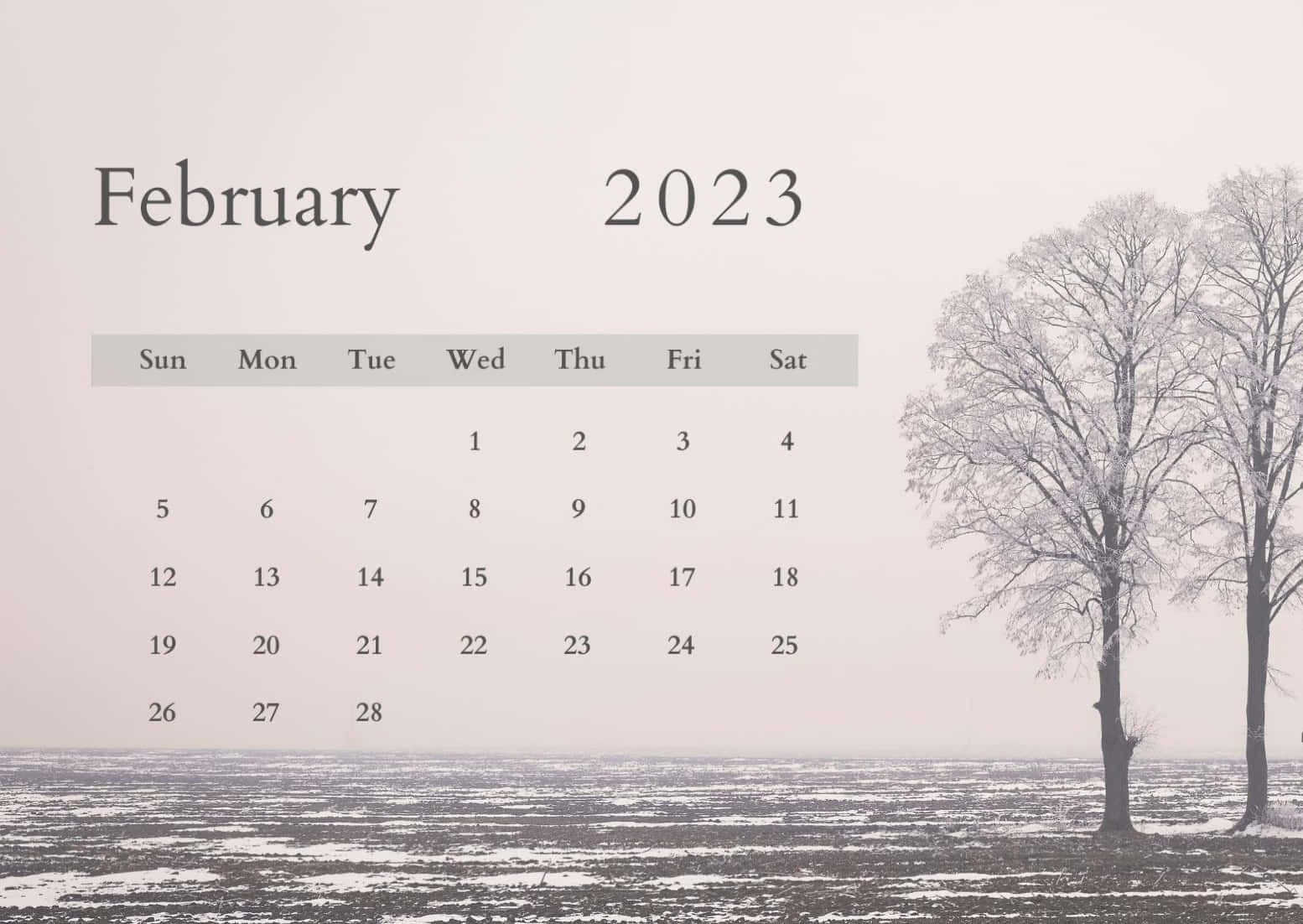 February 2023 Calendar With Trees In The Snow Background