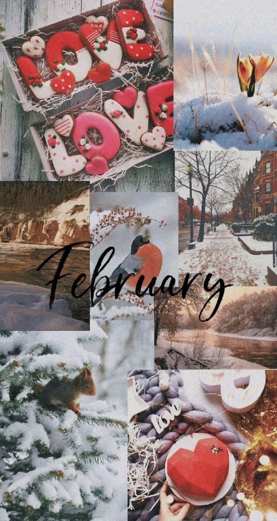 February Iphone Wallpaper With Calendar Background