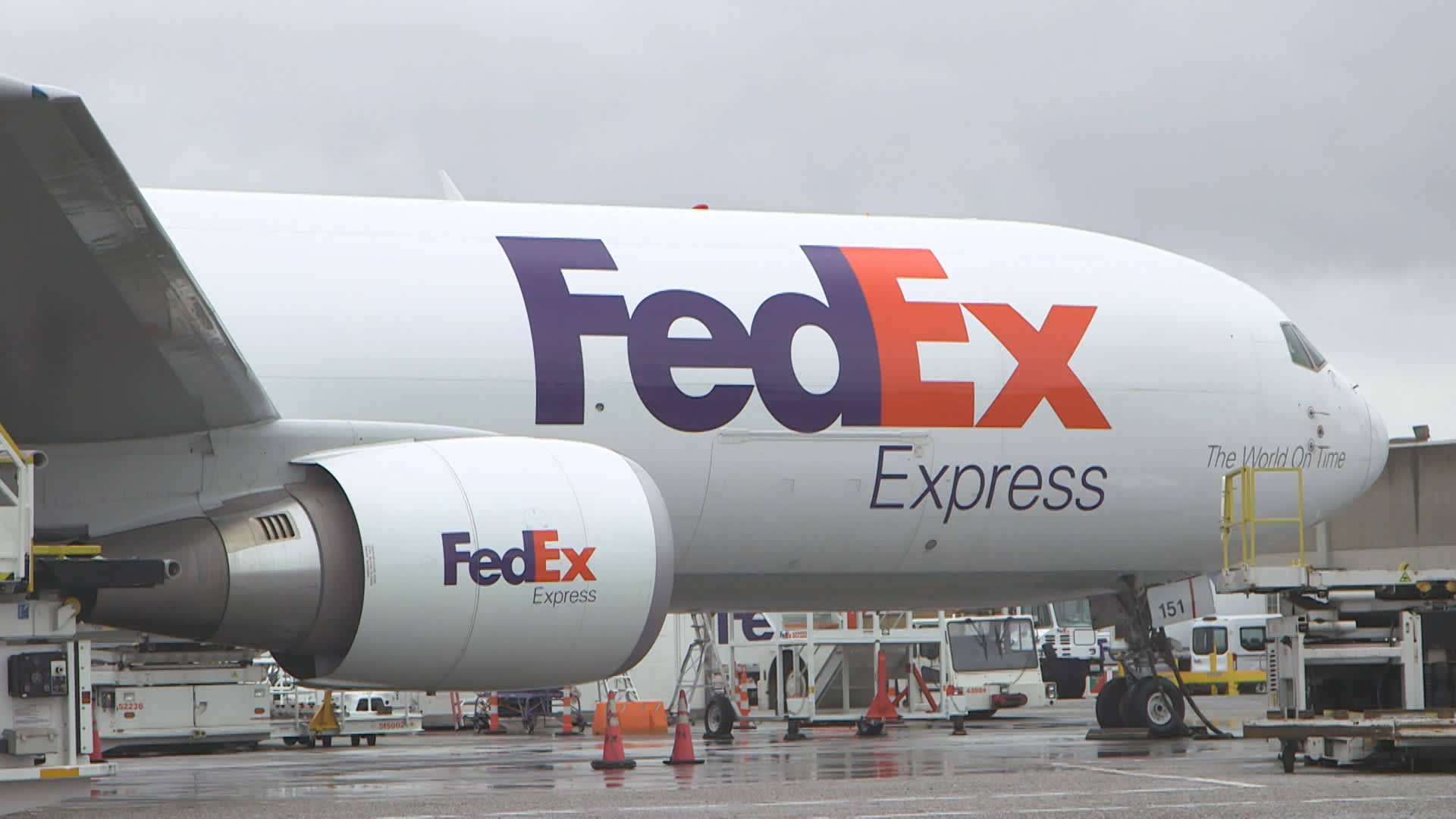 Fedex Express Parcel Delivery