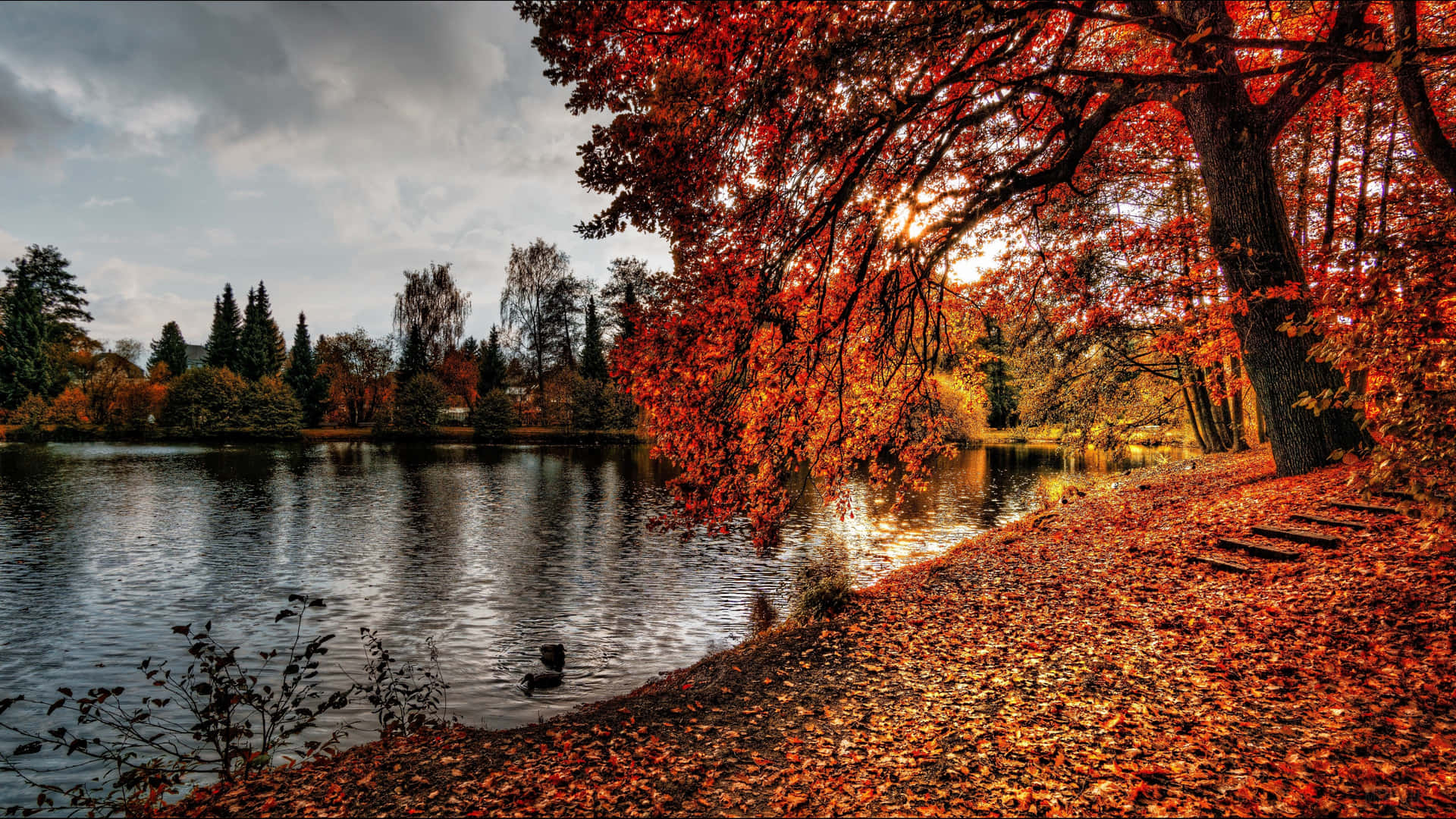 Feel The Air Of Fall With This Stunning 4k Autumn Wallpaper Background