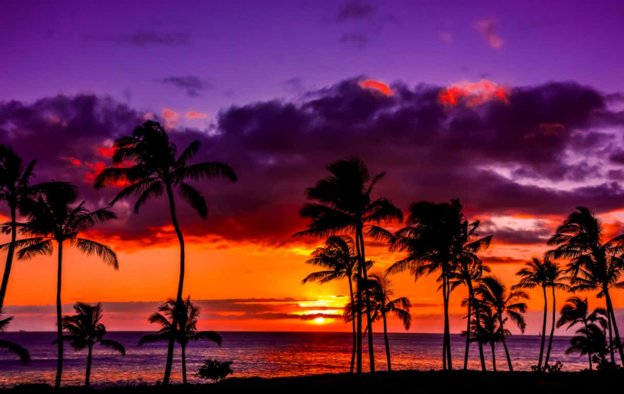 Feel The Aloha With A Hawaiian Sunset Background
