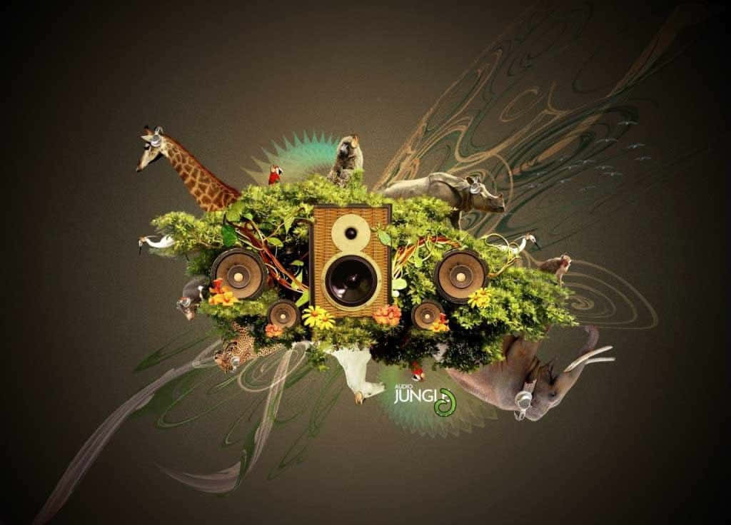 Feel The Beat! Background