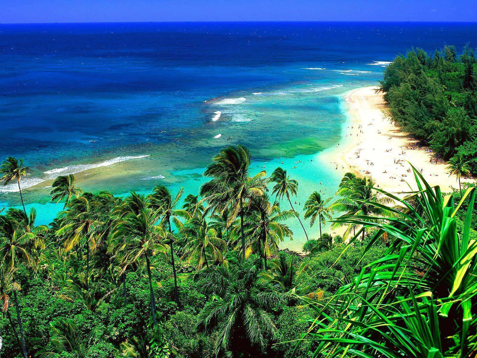 Feel The Beauty And Relaxation Of The Hawaiian Islands Background