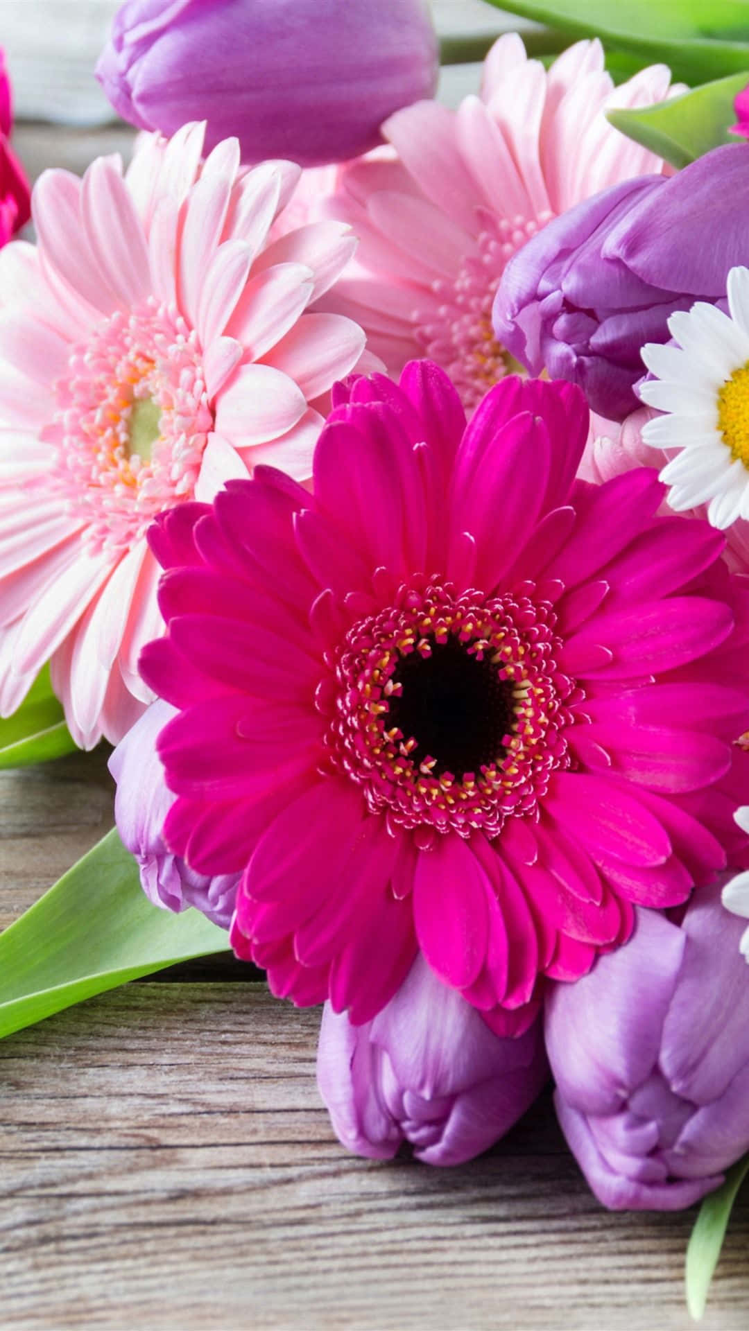 Feel The Beauty Of Nature With This Photo Of A Colorful Flowers Iphone