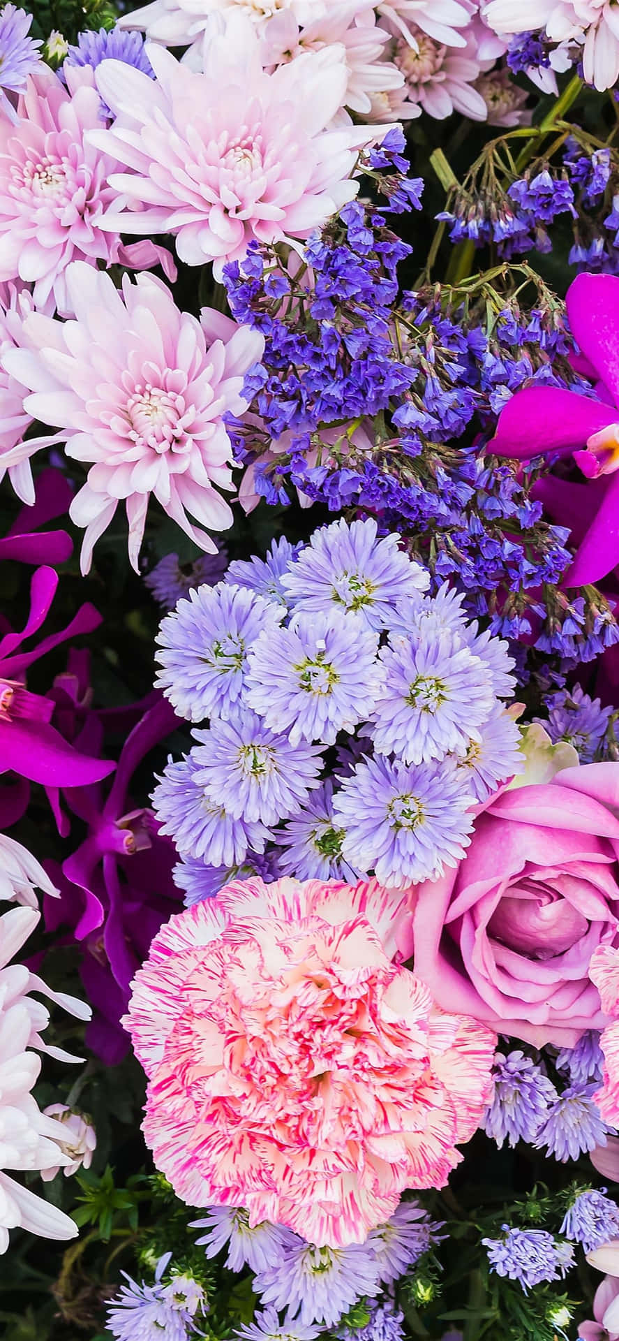 Feel The Blooming Beauty Of This Colorful Flower Iphone Wallpaper.