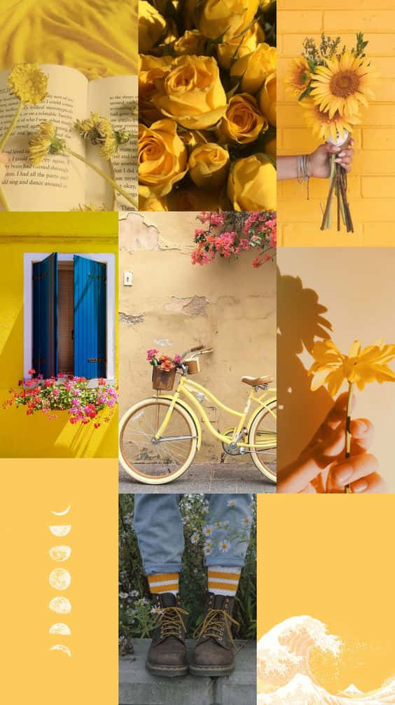 Feel The Bright Warmth Of An Inviting And Sunny Yellow Aesthetic Background