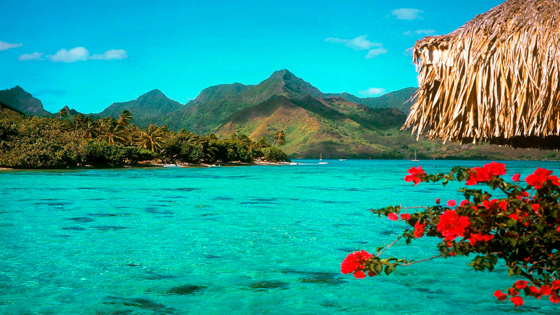 Feel The Calm And Serenity Of A Tropical Island Background