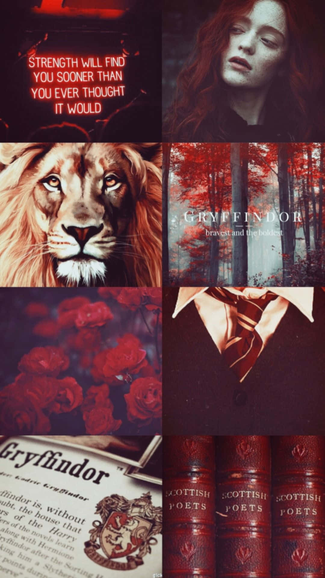 Feel The Charm Of The Gryffindor Aesthetic