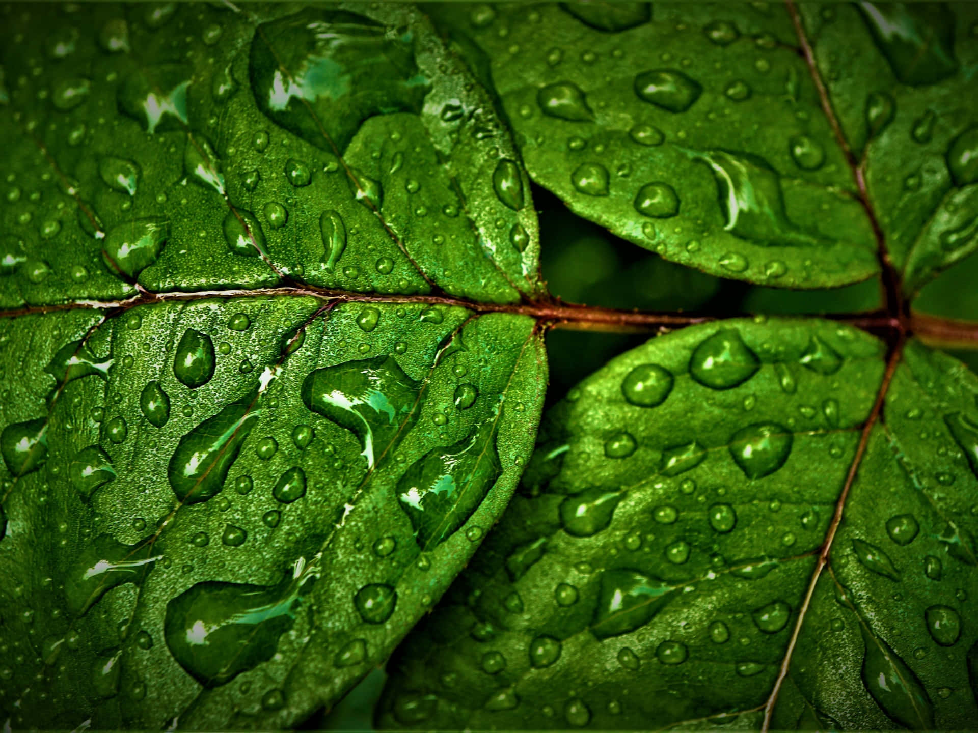 Feel The Chill Of The Pouring Rain Background