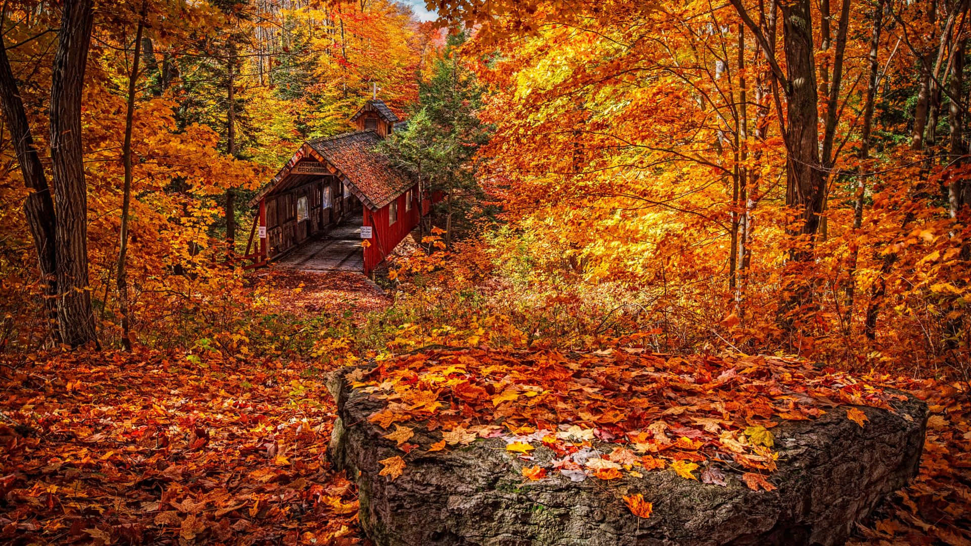 Feel The Colors Of Fall With This Stunning 1920x1080 Hd Wallpaper Background