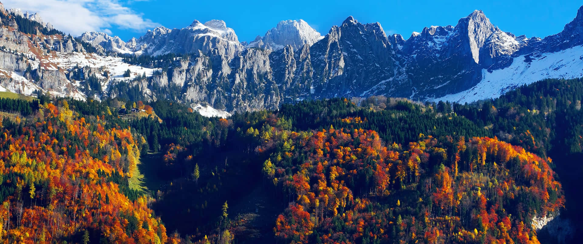 Feel The Gorgeous Change Of Season In The Majestic Fall Mountain Background